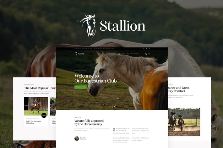 Stallion