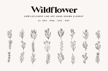 36 Wildflower line art - handdrawn element