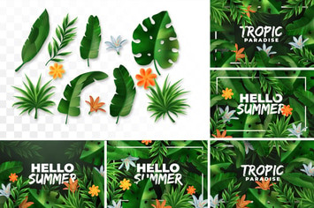 Vector Tropical Elements & Backgrounds Collection