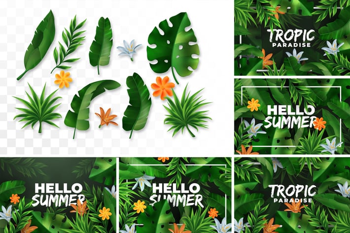 Vector Tropical Elements & Backgrounds Collection