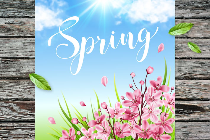 Spring Background with Cherry