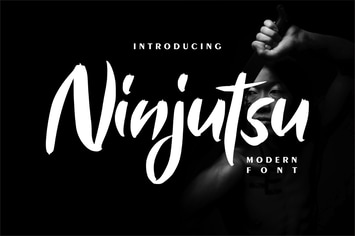 Ninjutsu | Modern Font
