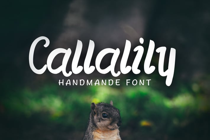 Callalily Typeface