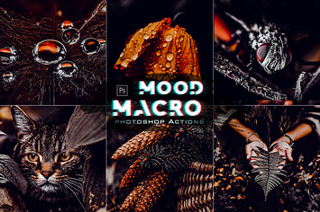 Macro Moody Photoshop Actions