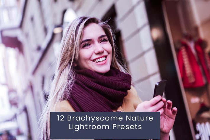 12 Brachyscome Nature Lightroom Presets