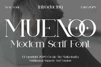 Muenoo -Modern Serif Font