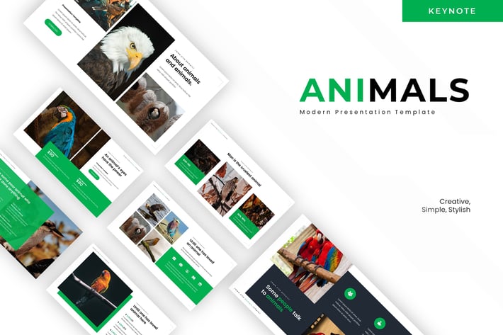 Beautiful Animals - Keynote Template