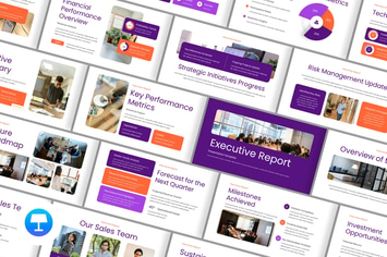Executive Report