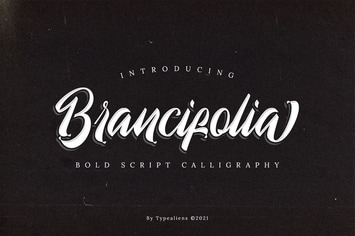 Brancifolia