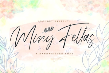 Miny Fellas - Modern Handwritten Font