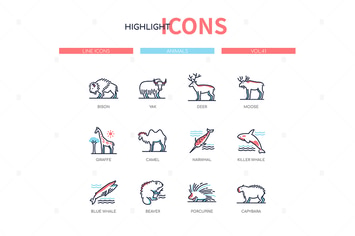 Animals collection - line design style icons