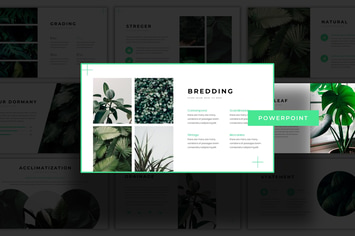 Greenbean - Powerpoint Template