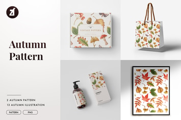 Autumn season illustration and pattern