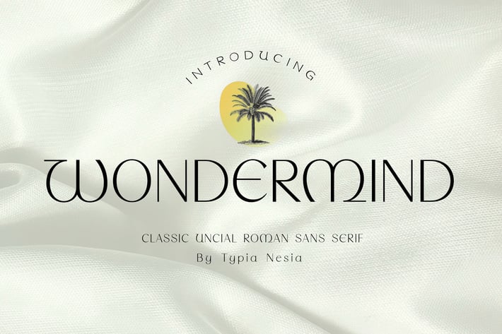 Wondermind - Classic Aesthetic Beauty Sans Serif