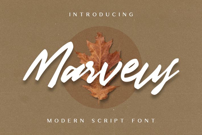 Marveus Modern Script Font
