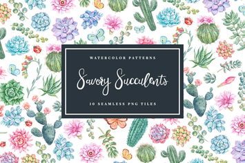Savory Succulents - Seamless Patterns