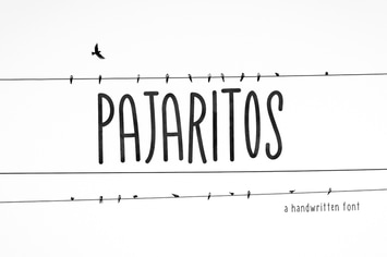 Pajaritos Handwritten Font