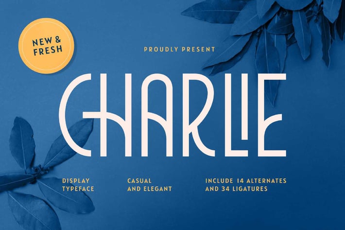 Vintage Modern Font - Charlie 