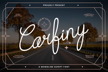 Carfiny Script Font 