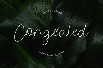 Congealed - Signature Script Font