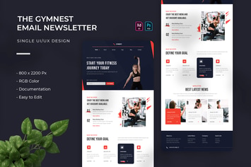 Gymnest | Email Newsletter