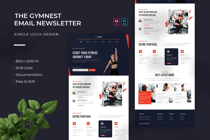 Gymnest | Email Newsletter