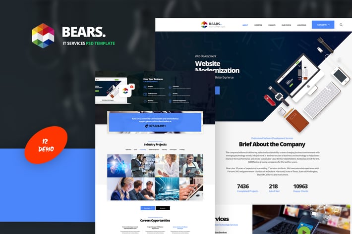 Bear's - IT Services PSD Template