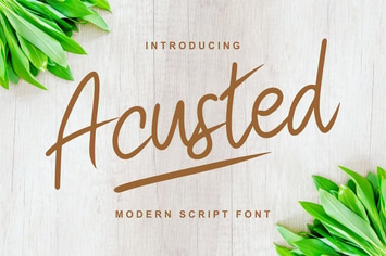 Acusted | Modern Script Font