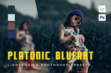 6 Platonic Blueart Lightroom and Photoshop Presets