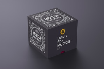 Luxury Cardboard Box Mockup