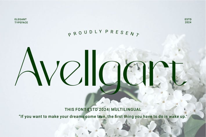 Avellgart - Elegant Typeface Font