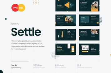 Settle - Digital Startup