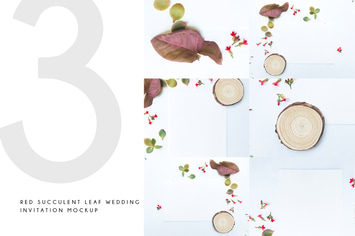 Red Succulent Leaf Wedding Invitation Mockup