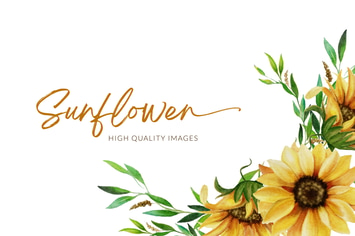 Sunflower Watercolor