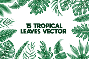 15 Tropical Leave Vector