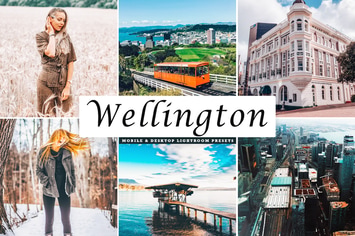 Wellington Mobile & Desktop Lightroom Presets