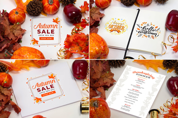 Multipurpose Fall Mock Up