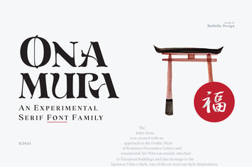 Onamura | Serif Experimental Font