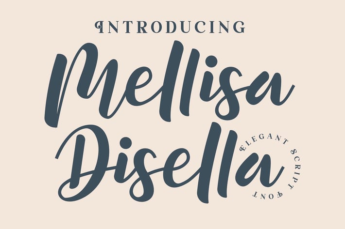 Mellisa Disella Script