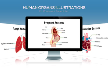  Biology - Human Organs For Powerpoint