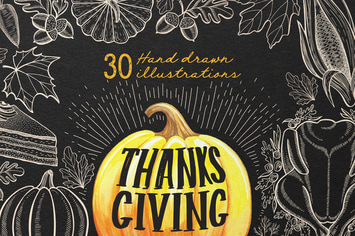 Thanksgiving Food Illustrations