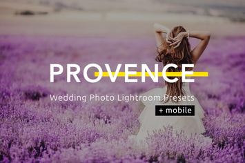 Provence  Wedding Photo Lightroom Presets