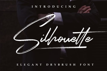 Silhouette Elegant Dry Brush Font