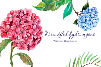 Beautiful Watercolor Hydrangeas