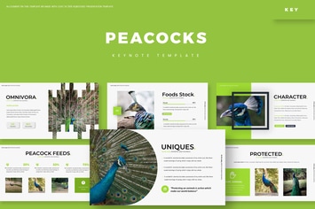 Peacoks - Keynote Template