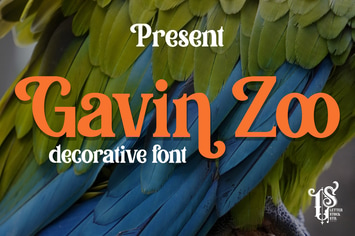 Gavin Zoo - Playful decorative font