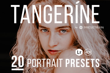 Tangerine Portrait Presets for Lightroom & ACR