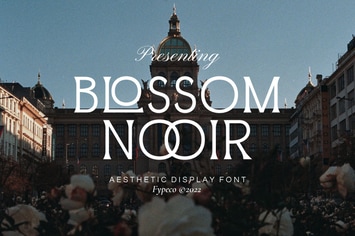 Blossom Noir - Aesthetic Display Font