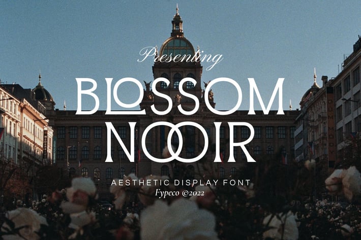 Blossom Noir - Aesthetic Display Font