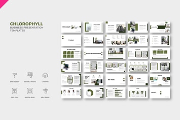 Chlorophyll Business Presentation